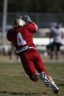 九游网页版官网-CBA赛季转会期开放多支球队进行大规模阵容调整，cba转会动态2021